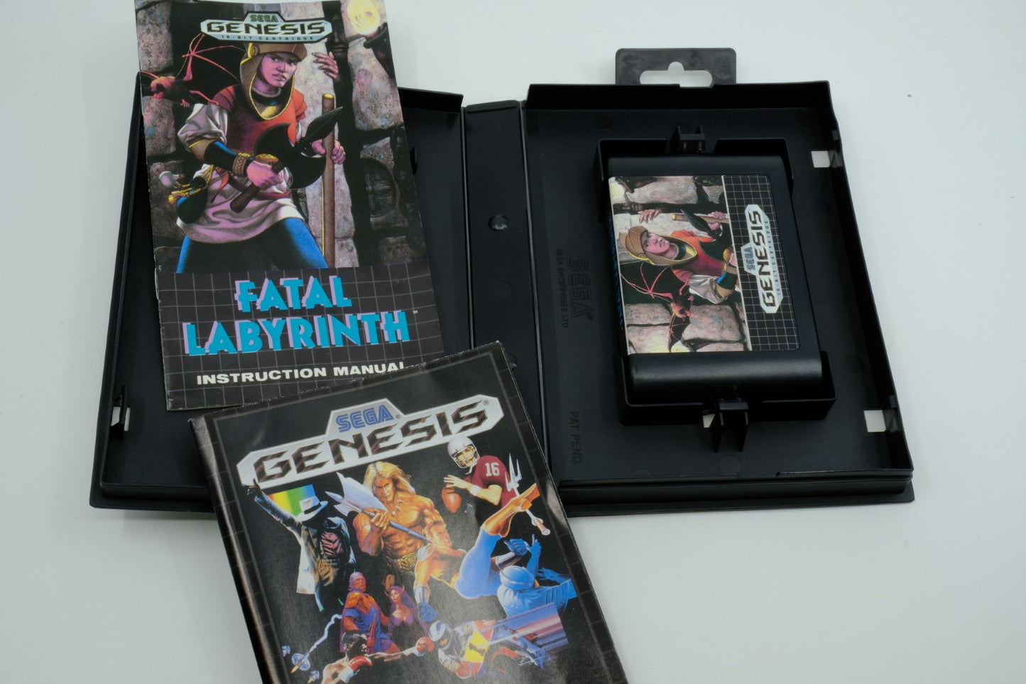 Fatal Labyrinth – Complete in Box