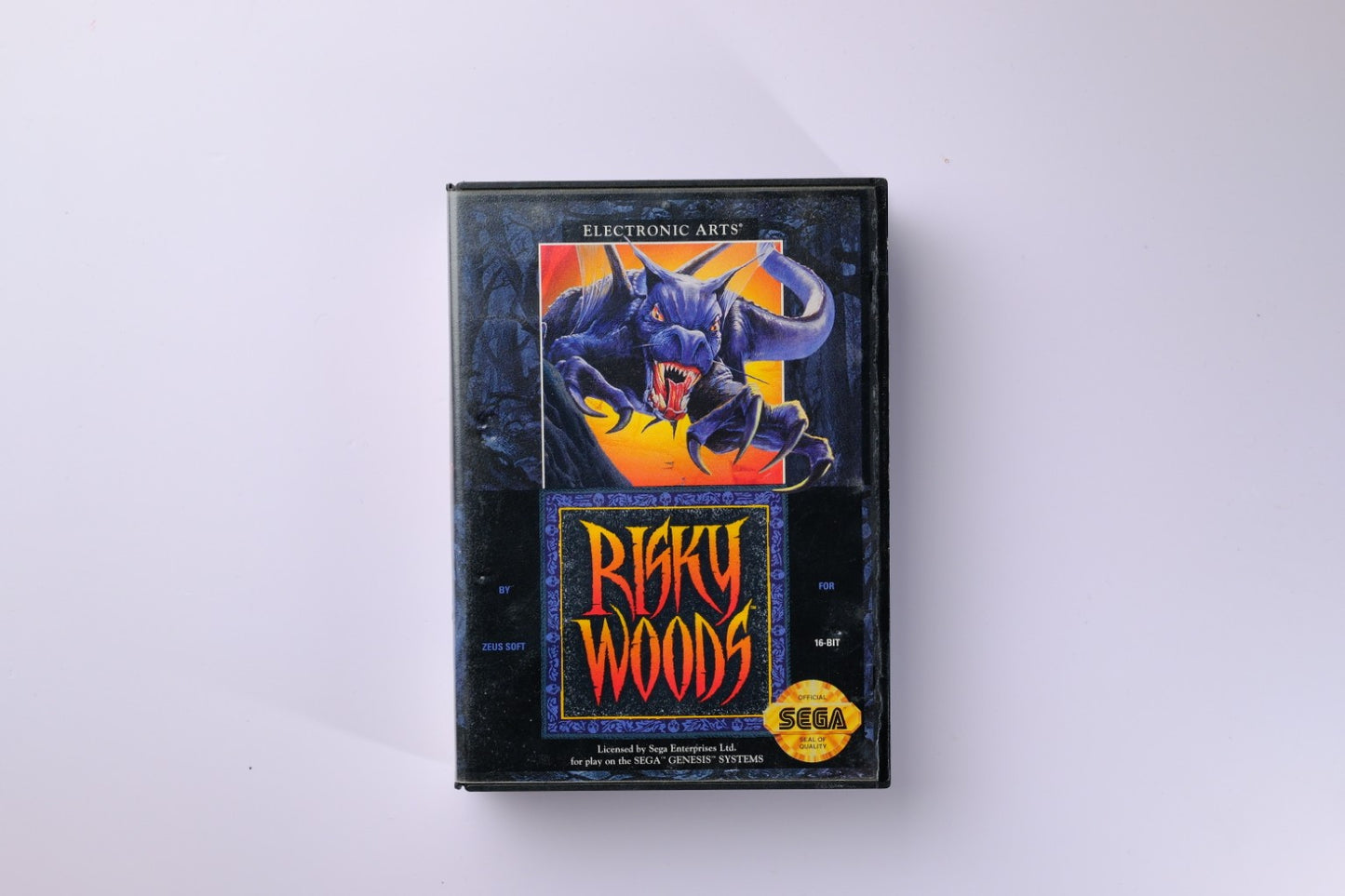 Risky Woods Sega Genesis Complete