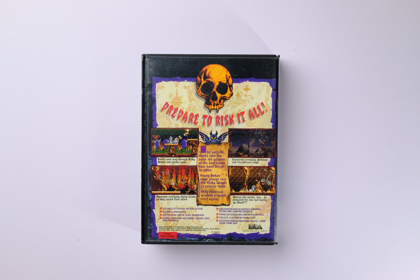 Risky Woods Sega Genesis Complete