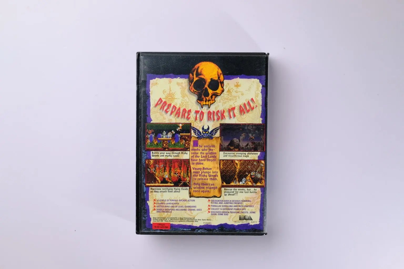 Risky Woods Sega Genesis Complete RetroGate - Your Gateway to Classic Gaming