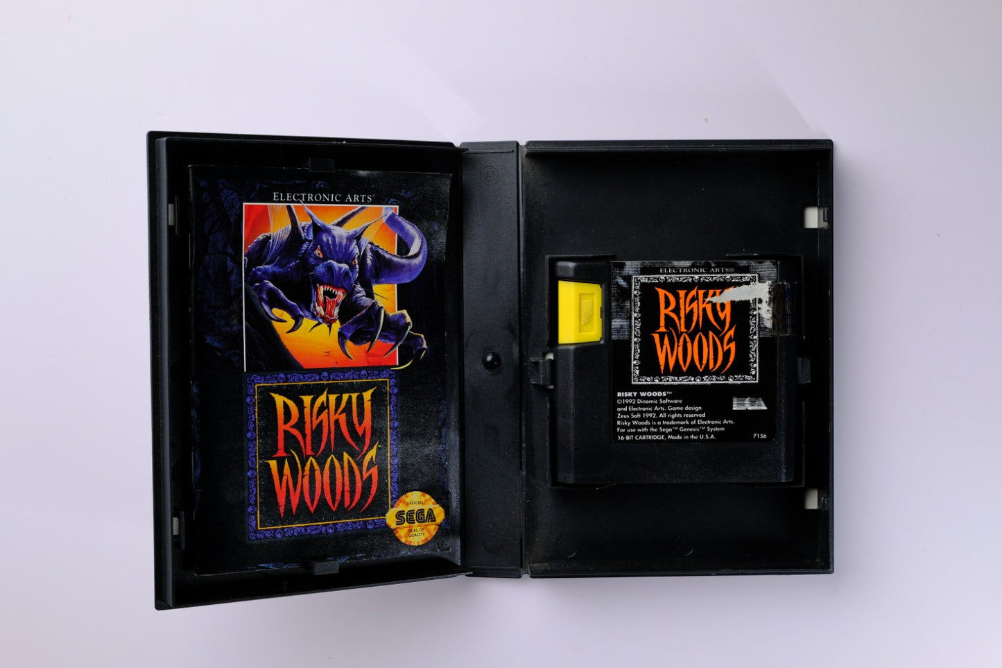 Risky Woods Sega Genesis Complete