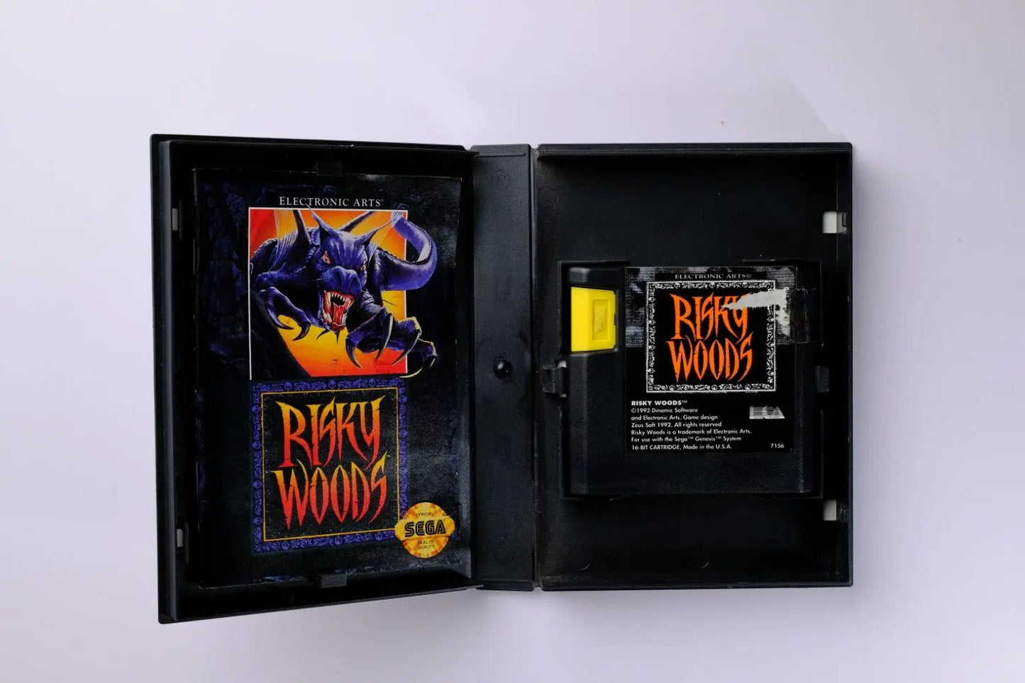 Risky Woods Sega Genesis Complete RetroGate - Your Gateway to Classic Gaming