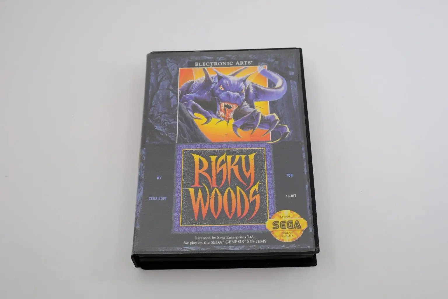Risky Woods – Complete in Box RetroGate - Your Gateway to Classic Gaming