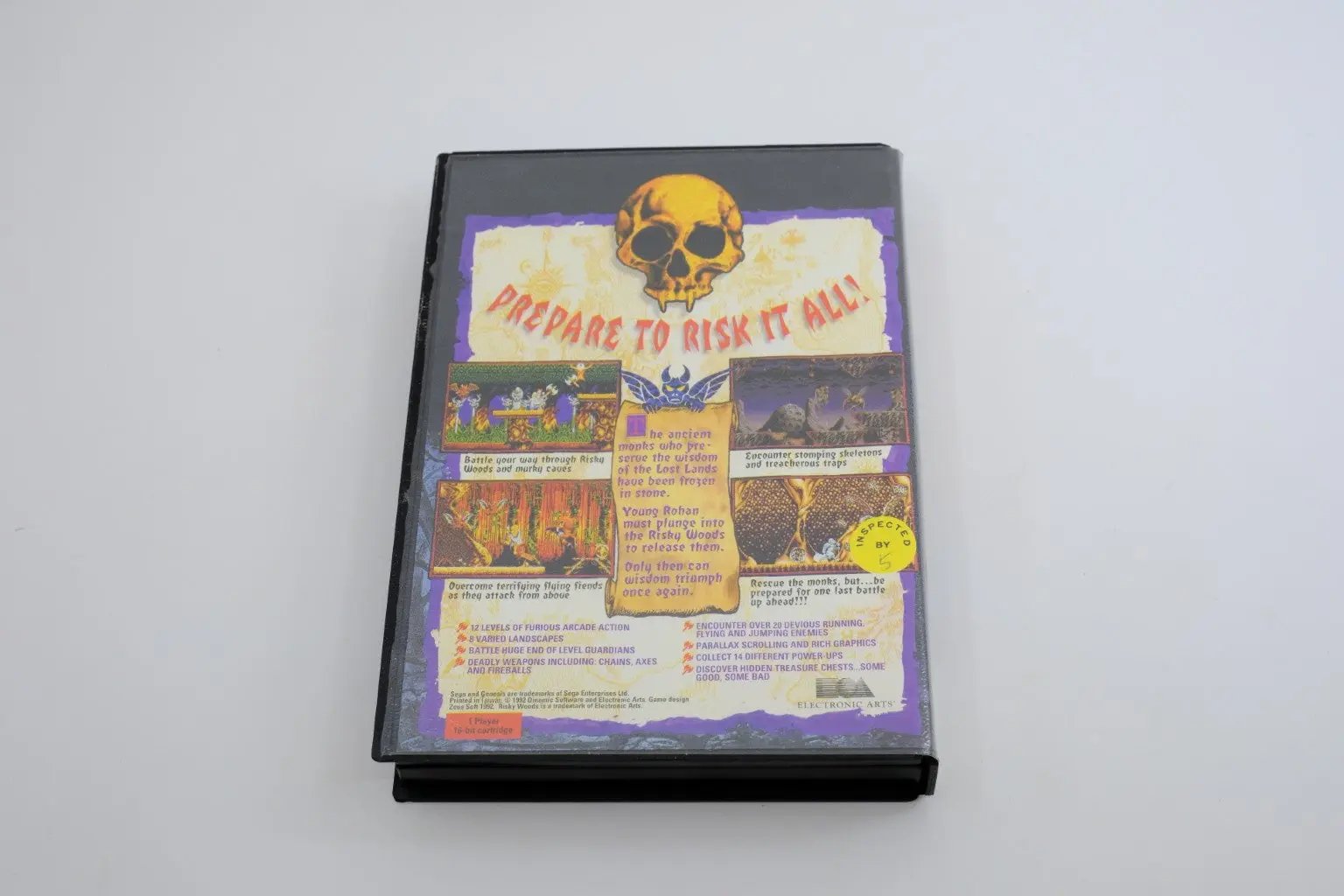 Risky Woods – Complete in Box RetroGate - Your Gateway to Classic Gaming