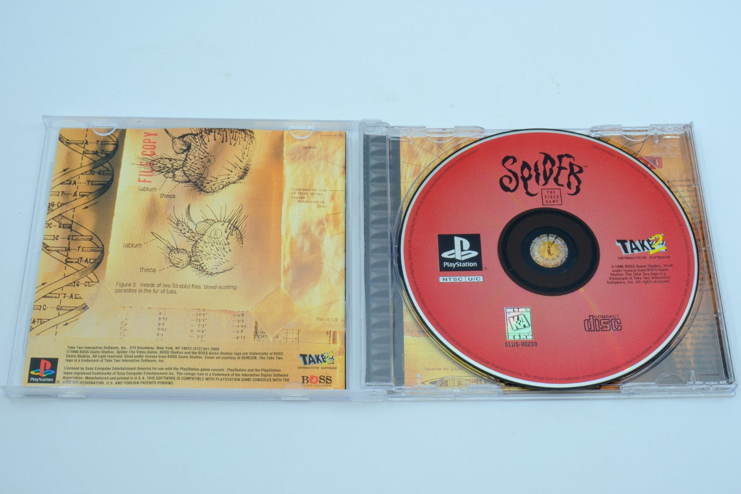 Spider: The Video Game - Complete in Box