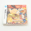 Inazuma Eleven 2 FireStorm - Complete in Box
