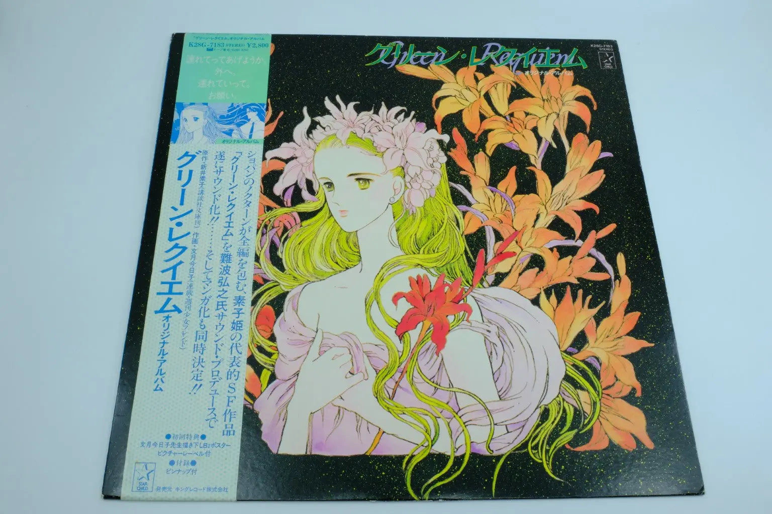 Green Requiem — Vinyl Record (BGM) RetroGate - Your Gateway to Classic Gaming