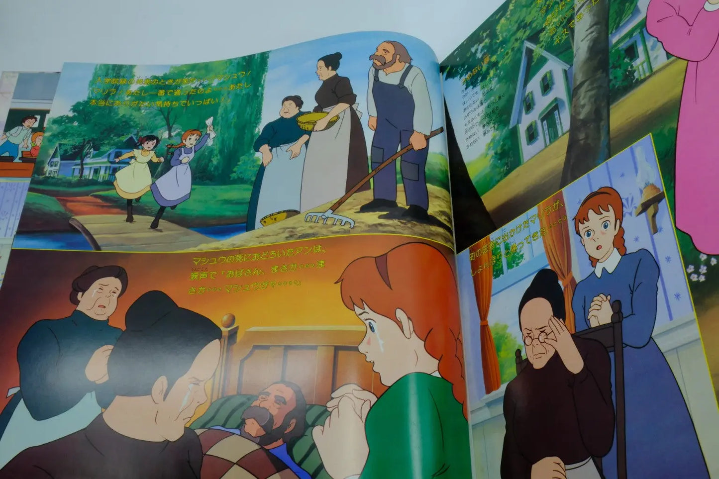 Anne of Green Gables — Vinyl Record (BGM) RetroGate - Your Gateway to Classic Gaming