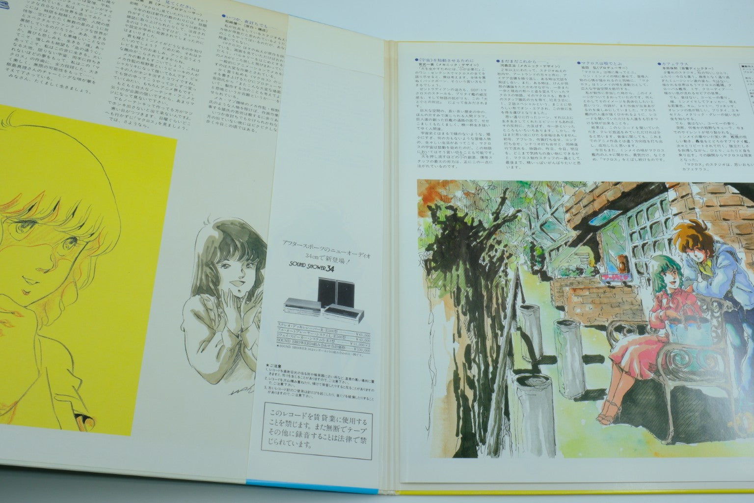 Macross — Vinyl Record (BGM / Songs Collection) RetroGate - Your Gateway to Classic Gaming