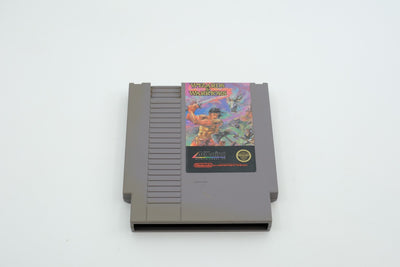Wizards & Warriors – Loose cartridge