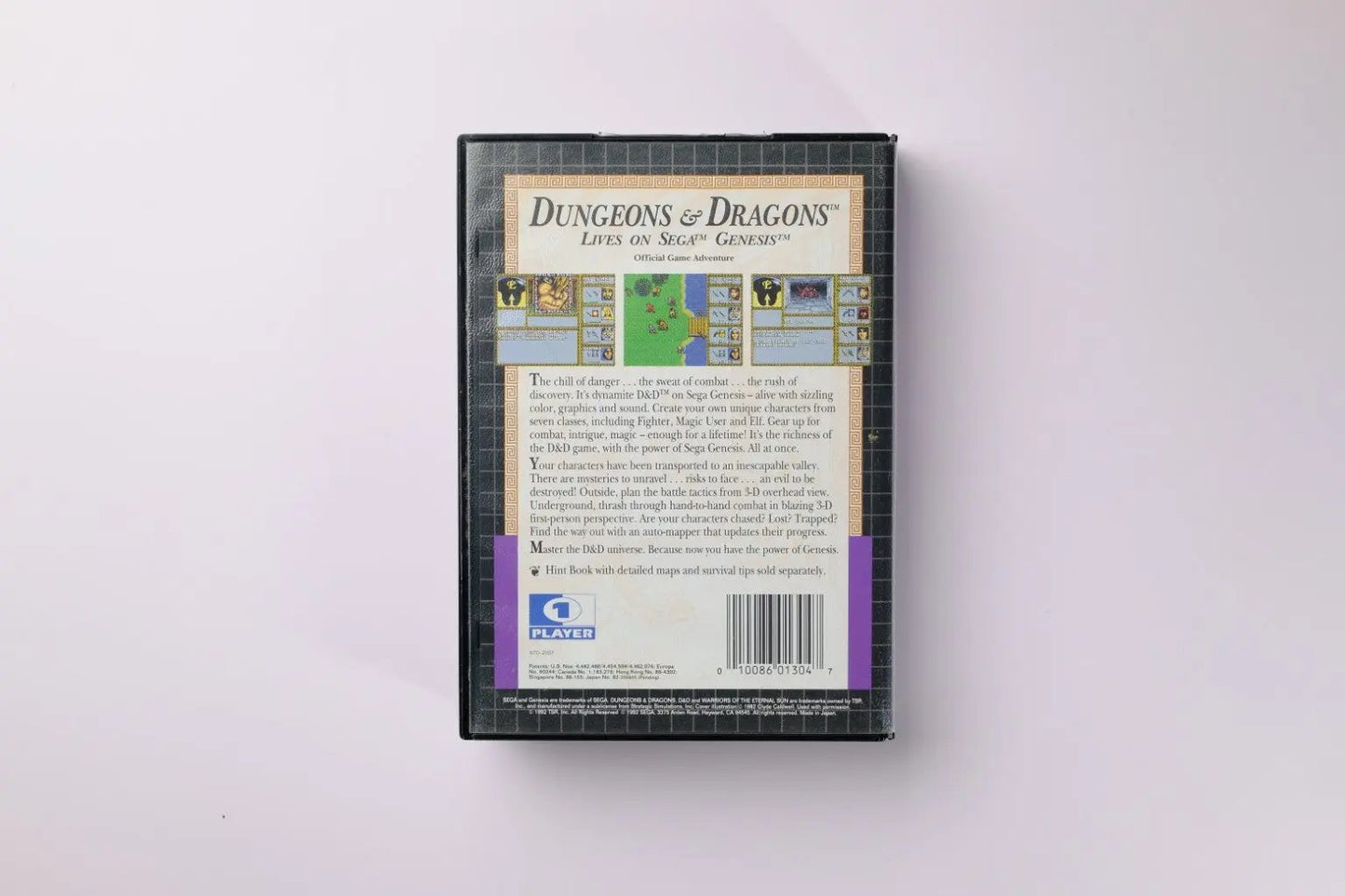 Dungeons & Dragons Warriors of the Eternal Sun Sega Genesis Complete RetroGate - Your Gateway to Classic Gaming