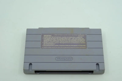 Dungeon Master – Loose Cartridge RetroGate - Your Gateway to Classic Gaming